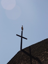 Bod, Biserica Evanghelica