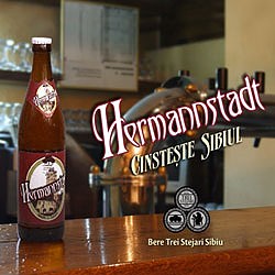Spot video Hermannstadt